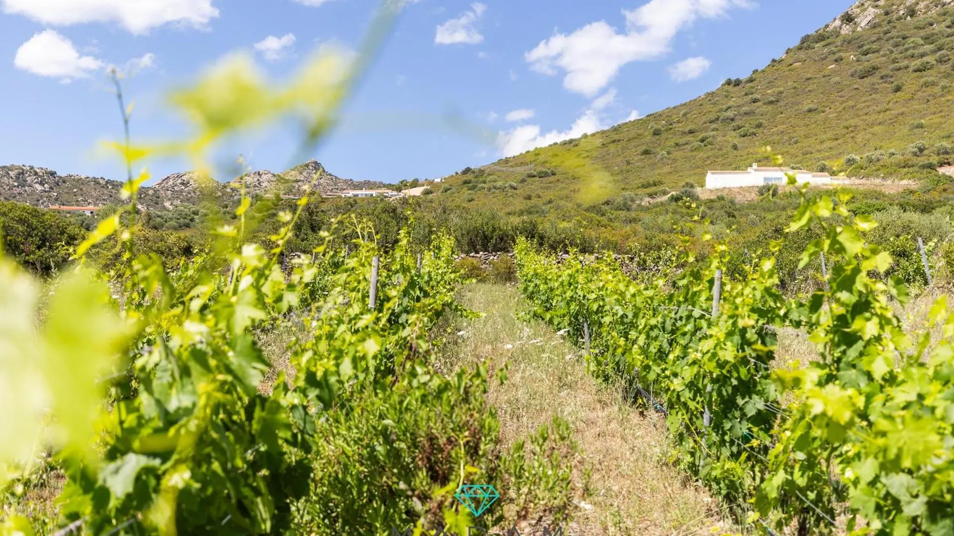 Stazzo Rosita Villa Pittulongu